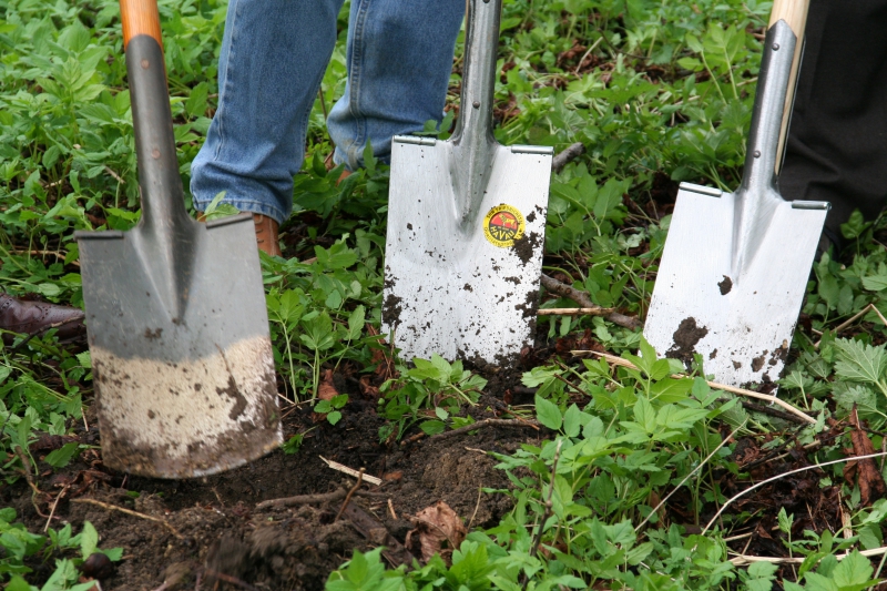 pepiniere-GREOLIERES-min_work-lawn-flower-tool-green-backyard-1103633-pxhere.com